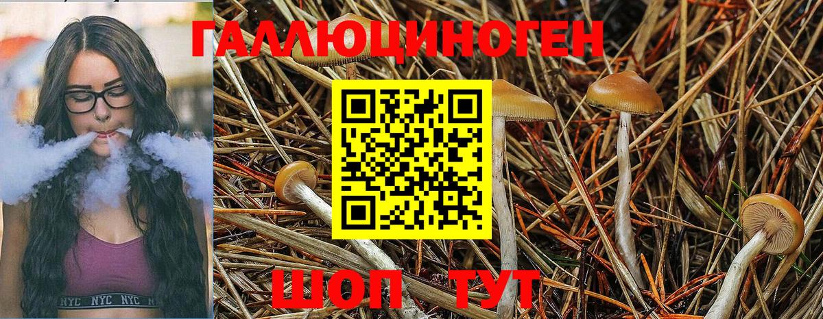 Псилоцибиновые грибы ЛСД Реутов