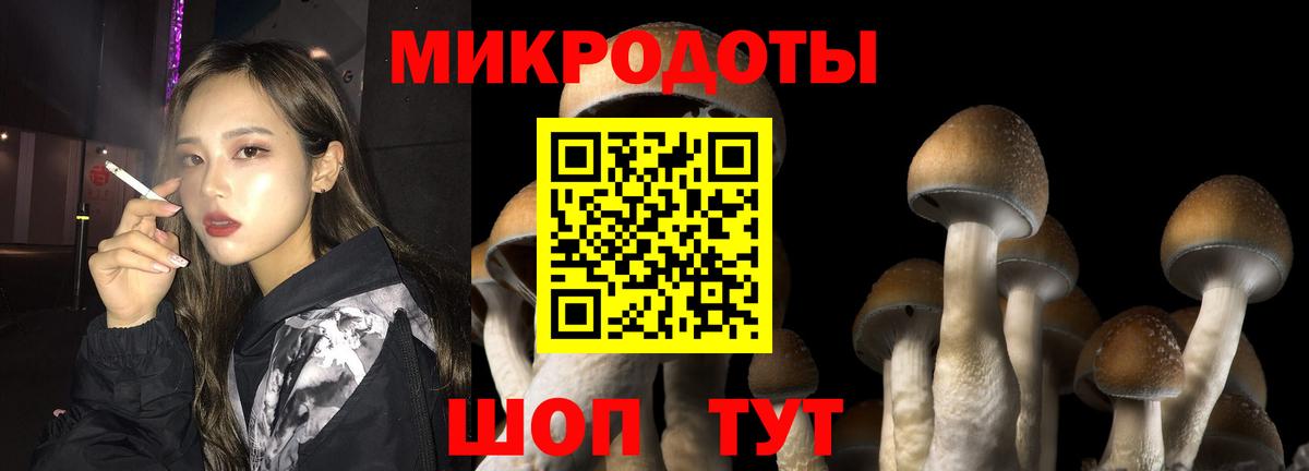 как найти   Вход с VPN  Реутов  Галлюциногенные грибы мухоморы 